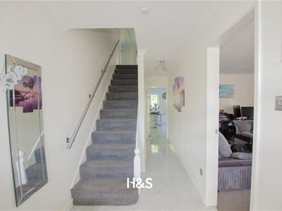 Picture 17